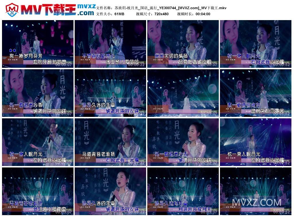 苏欣玥-枕月光_国语_流行_YE300744